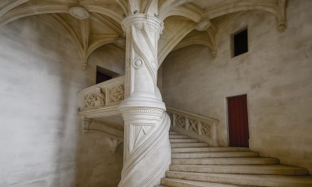 Leonardo Davinci, wichtig für die Fotografie?